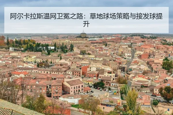 a-er-ka-la-si-wen-wang-wei-mian-zhi-lu-cao-di-qiu-chang-ce-lve-yu-jie-fa-qiu-ti-sheng-3-434.jpg