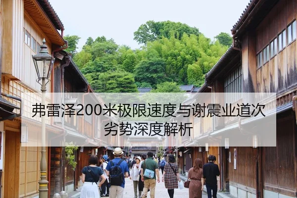 fu-lei-ze-mi-ji-xian-su-du-yu-xie-zhen-ye-dao-ci-lie-shi-shen-du-jie-xi-3-391.jpg