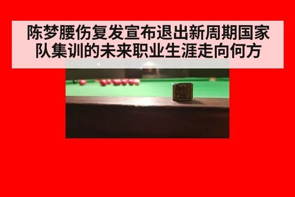 陈梦腰伤复发宣布退出新周期国家队集训的未来职业生涯走向何方